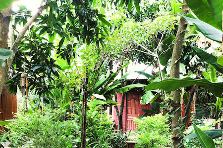 Ben Tre Farm Stay, Ben Tre