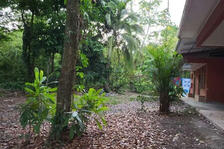 Hostel Manuel Antonio Park Jungle