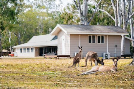 Kangarooms Noosa Everglades Yha, Cootharaba