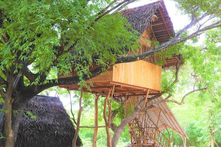 Yala Village Eco Tree House, Tissamaharama