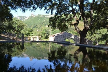 Stazzo Gallurese, Luogosanto