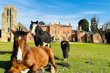 The Animal Hostel, Nottingham