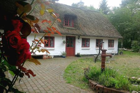 Gemütliches Reetdachhaus Mit Kaminofen, Ribe