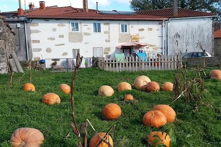 Albergue A Casina di Marcello, Palas de Rei