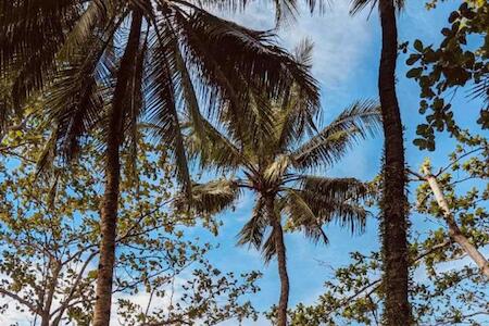 Playa Del Fuego Camiguin Beach Hostel & Resort