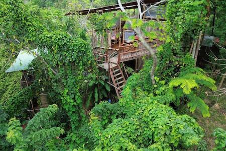 The Valley Tayrona hostel- A unique social jungle hostel