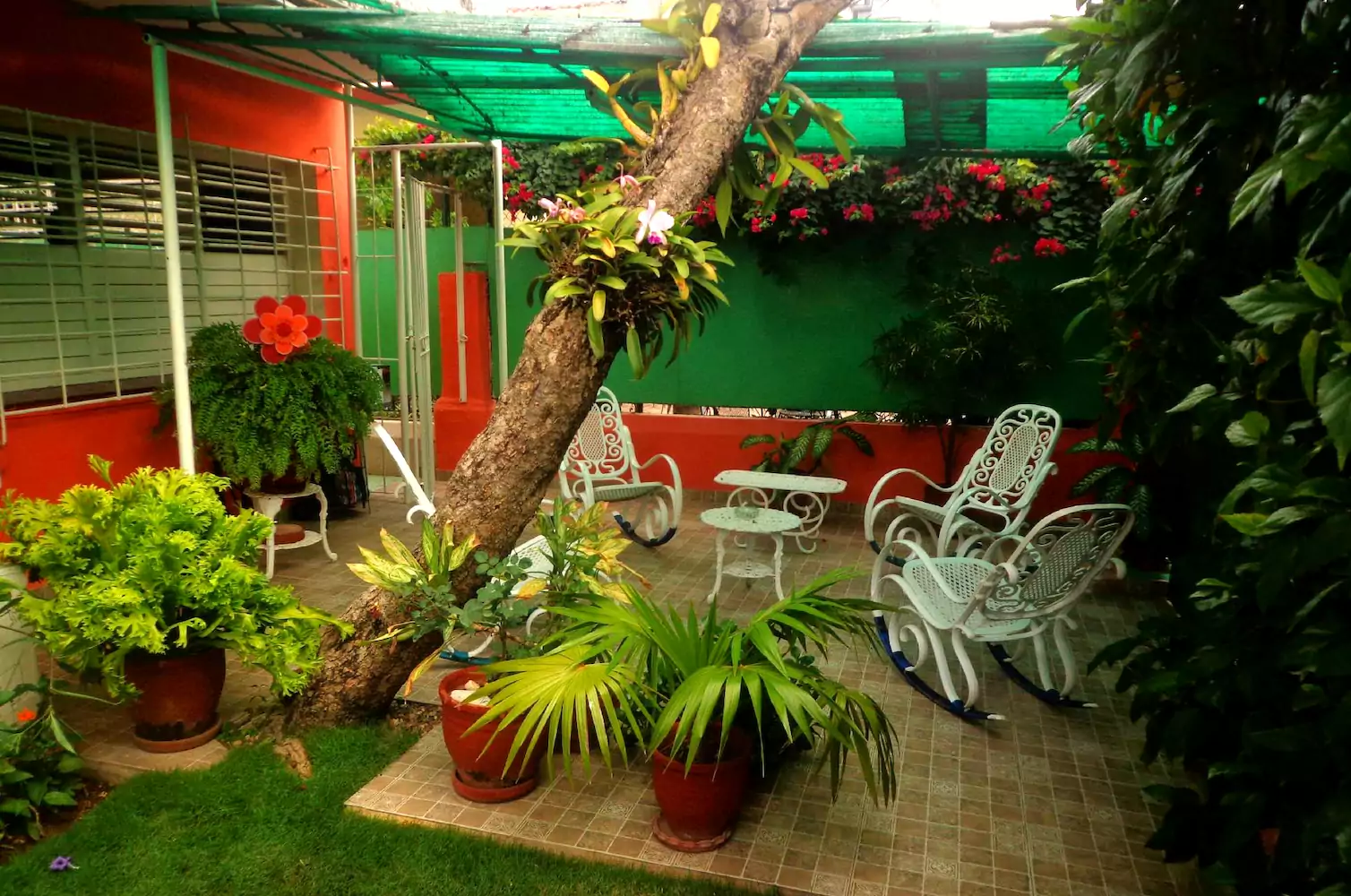 La Casa De Ana B&B, Havana - 2023 Price & Reviews Compared