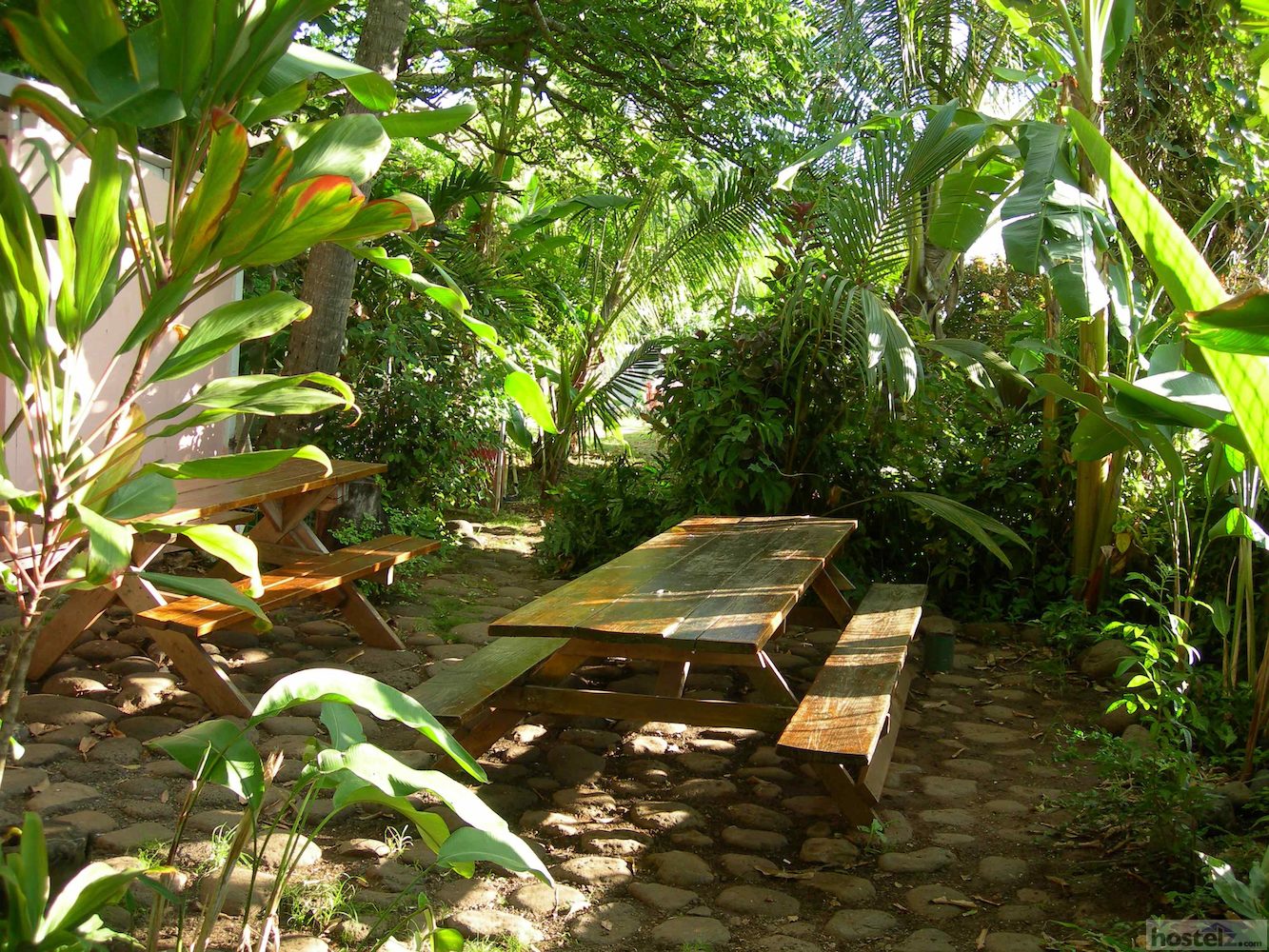 Banana Bungalow Maui Hostel - Maui, Hawaii Reviews