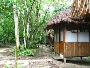 JUNGLE PALACE (PALENQUE, MÉXICO): 57 fotos e avaliações - Tripadvisor